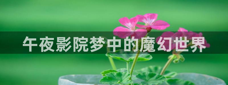 星空电影院在线观看