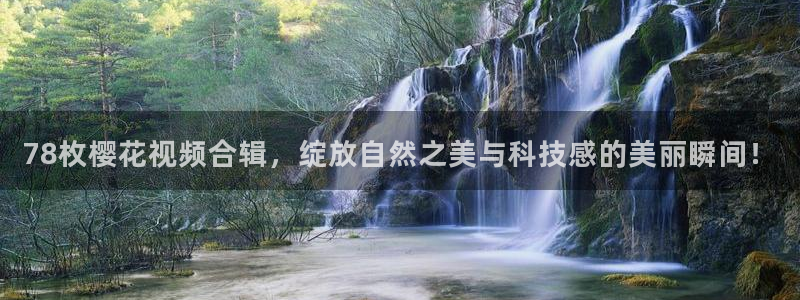 淫民星空影视