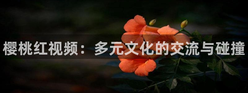 星空无限传媒免费观看全部
