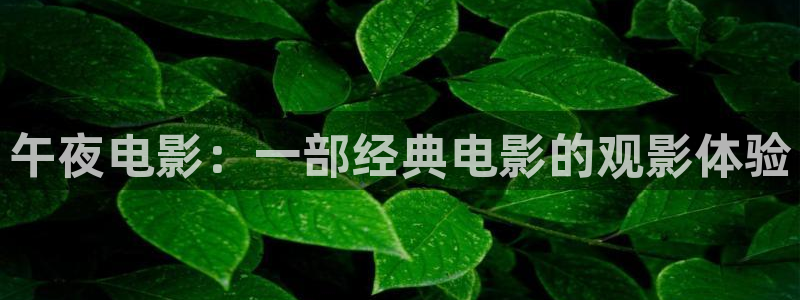 星空影视在线免费观看电影