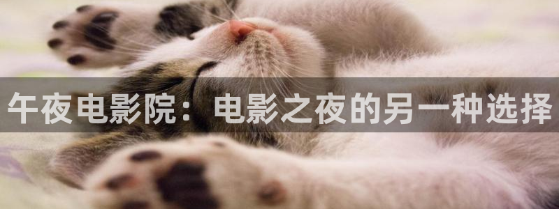 西瓜视频官网