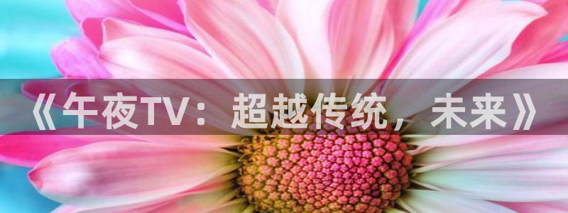 星空电影下载免费下载