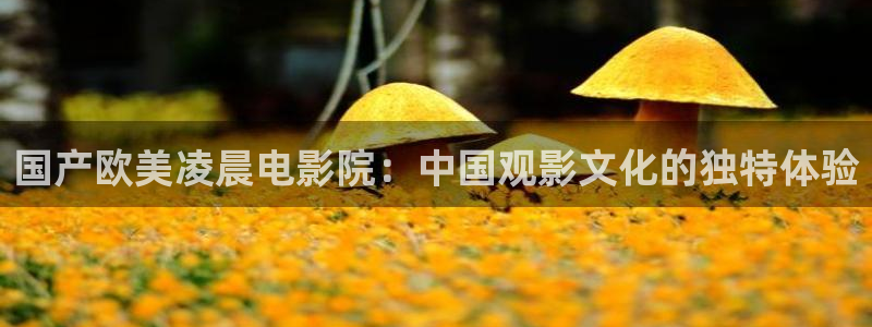 星空电影影院在线观看