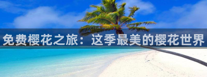 西瓜视频在线观看免费播放
