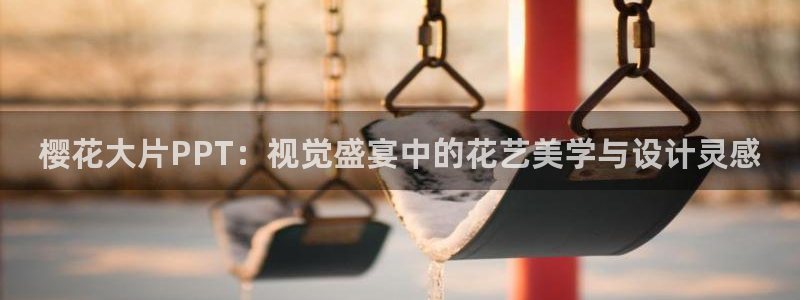 免费看剧西瓜视频