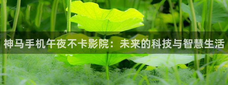 星空影视在线完整免费观看
