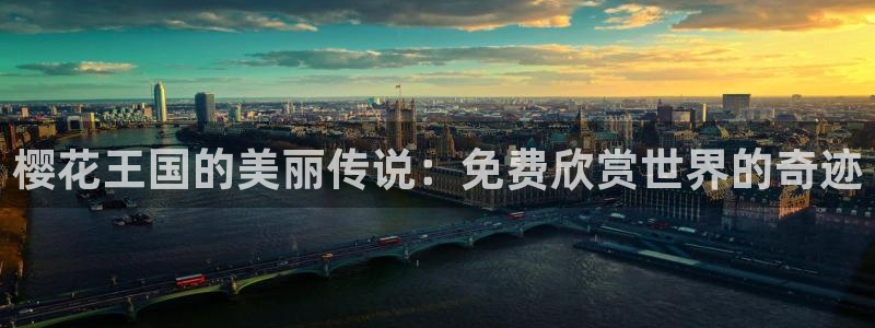 2025西瓜视频最新电影在线观看
