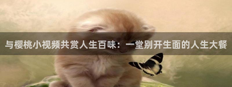 西瓜视频在线播放免费完整版