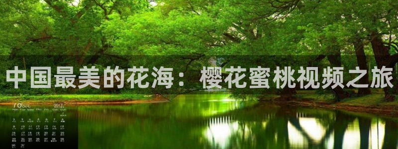 星空影视破解版下载