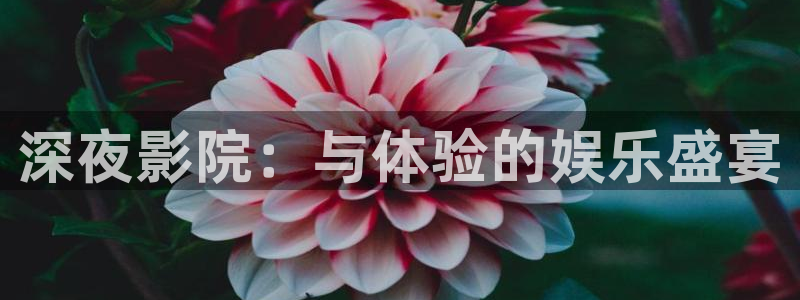 西瓜视频在线观看完整版
