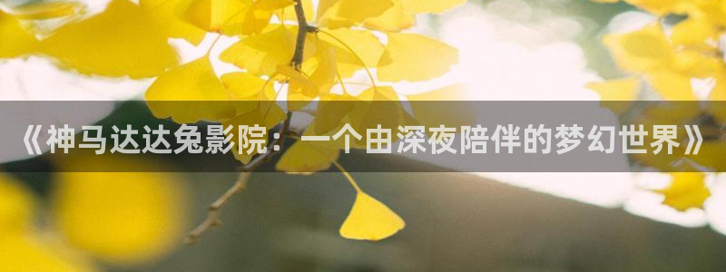 星空影视大全电视剧免费播放在线