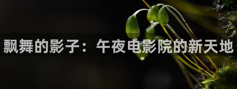 星空电影免费在线观看